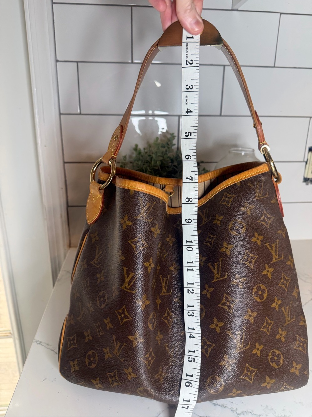 Louis Vuitton Delightful PM - Monogram Canvas - Picture 10 of 15
